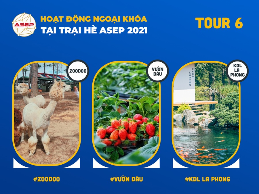 hoat-dong-ngoai-khoa-trai-he-tieng-anh-da-lat-6