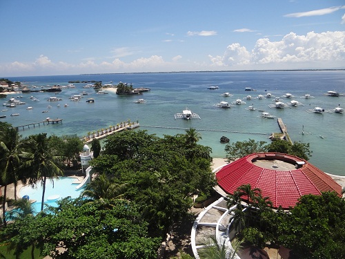 cboa-t-hazelyn-giao-vien-day-khoa-esl-3