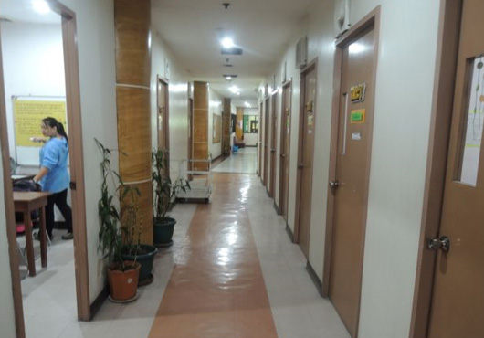 phong-van-giao-vien-denjo-truong-pines-cooyeesan-6