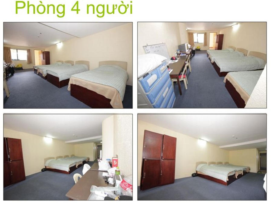 pines-nhung-dot-pha-moi-trong-nam-2016-8