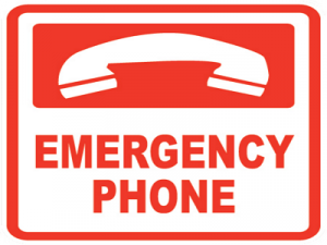 so-dien-thoai-lien-he-dd