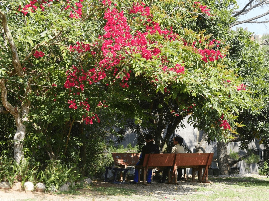 tham-quan-truong-anh-ngu-beci-1