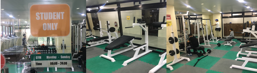 bao-cao-tham-quan-pines-main-13