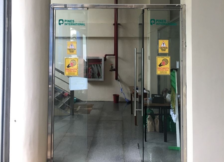 bao-cao-tham-quan-pines-main-3(1)