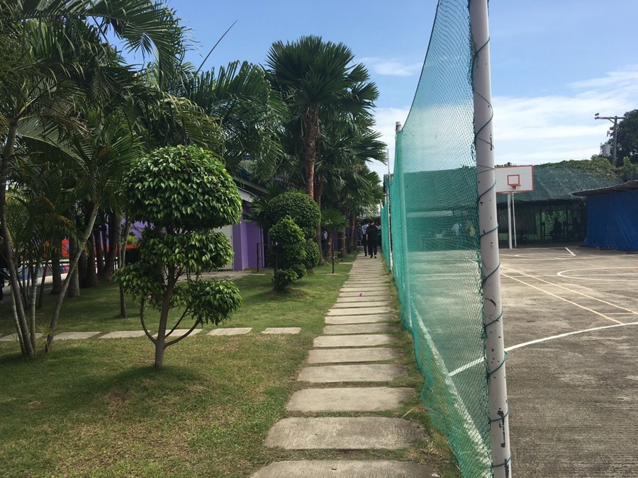 cg-sparta-cg-banilad-ngoi-truong-mau-tim-4