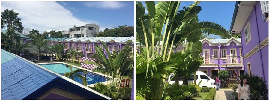 cg-sparta-cg-banilad-ngoi-truong-mau-tim