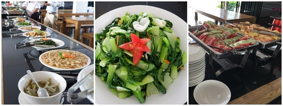 ev-tan-huong-co-so-vat-chat-hang-dau-cebu-24